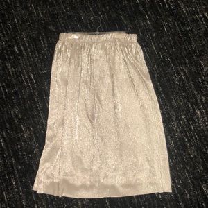 NWOT Silver pleated midi skirt